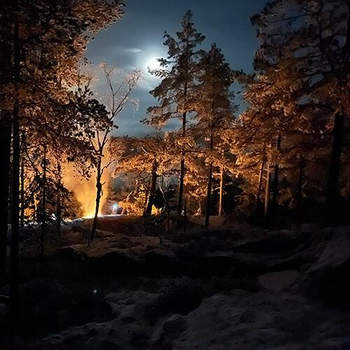 Älvdalar & skog