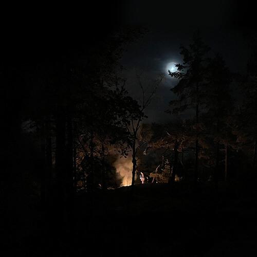 Vildmarksvägen